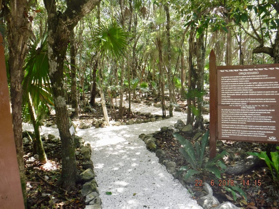 Gartenanlage Grand Palladium Kantenah Resort & Spa