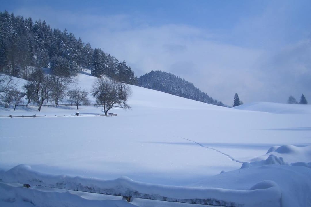Blick vom Balkon Pension-Biobauernhof Hagenhof