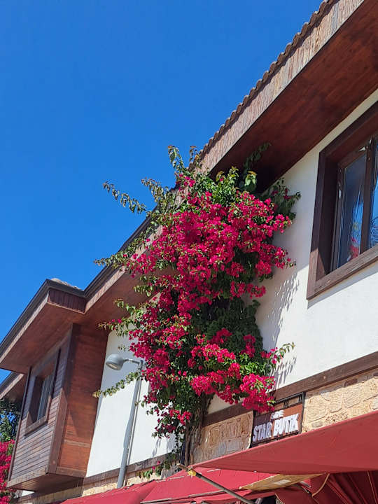 Außenansicht VONRESORT Golden Beach