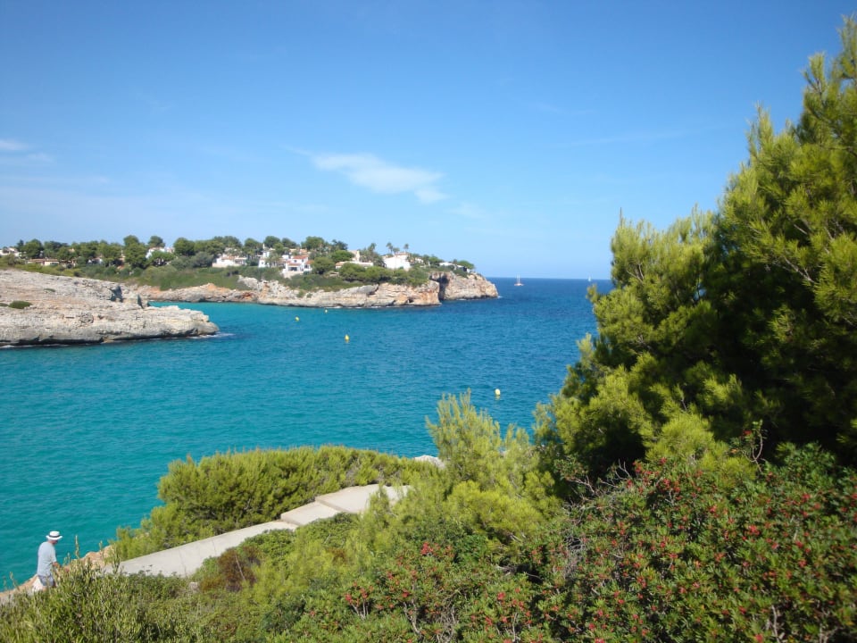 Bucht blau punta reina