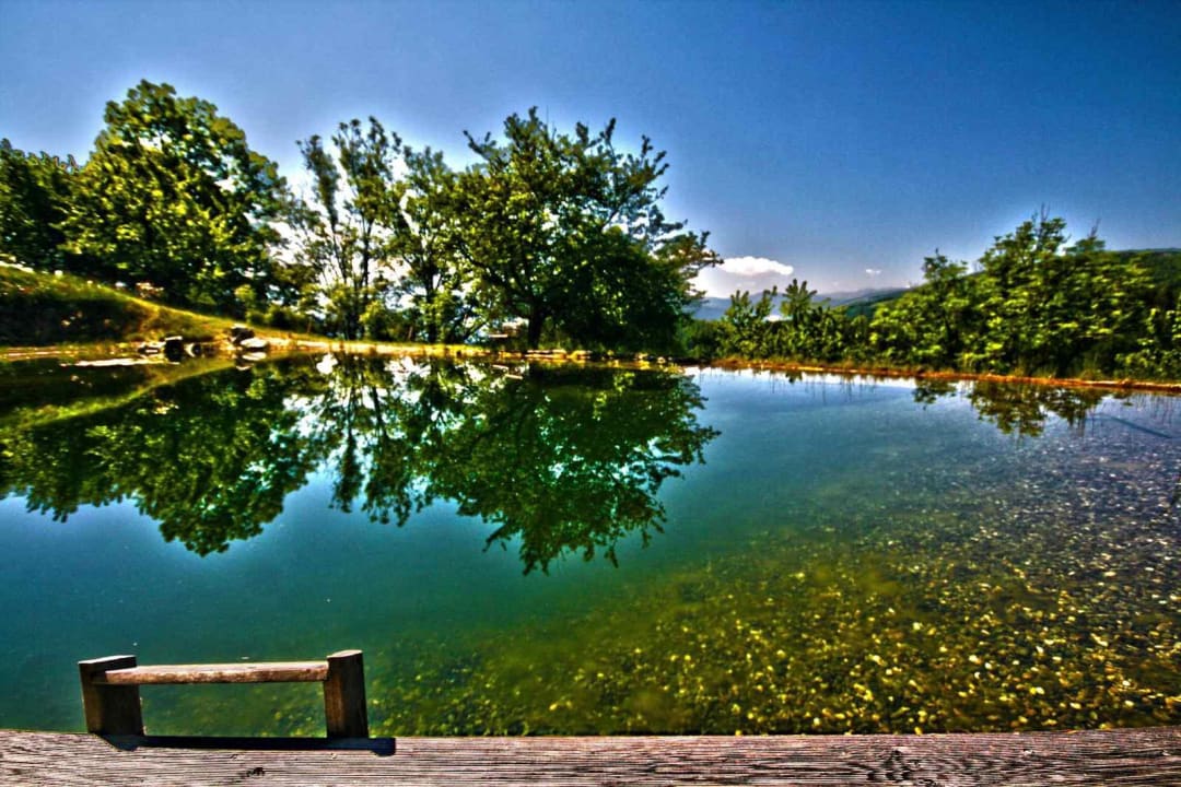 Infinity Schwimmteich LUXGUT - OLIVIA