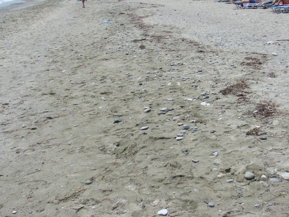 Der schmutzige Strand Olympian Bay Grand Resort