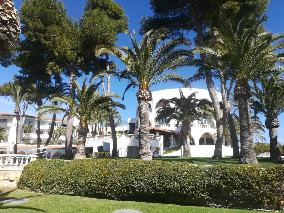 "Garten" Maritim Hotel Galatzó (Costa de la Calma