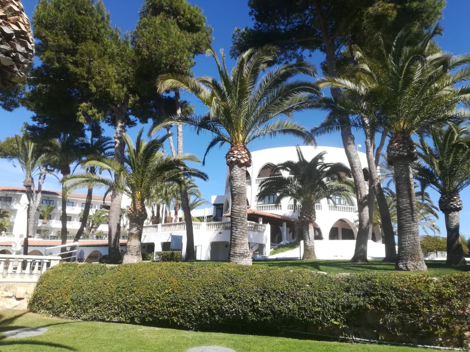 &quot;Garten&quot; Maritim Hotel Galatzó (Costa de la Calma