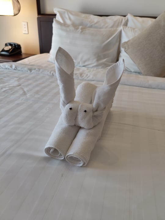 Zimmer Hotel Little Hoi An Boutique