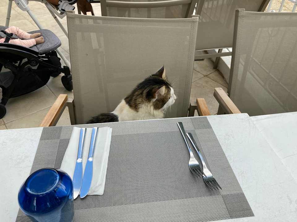 Gastro TUI BLUE Palm Beach Hammamet