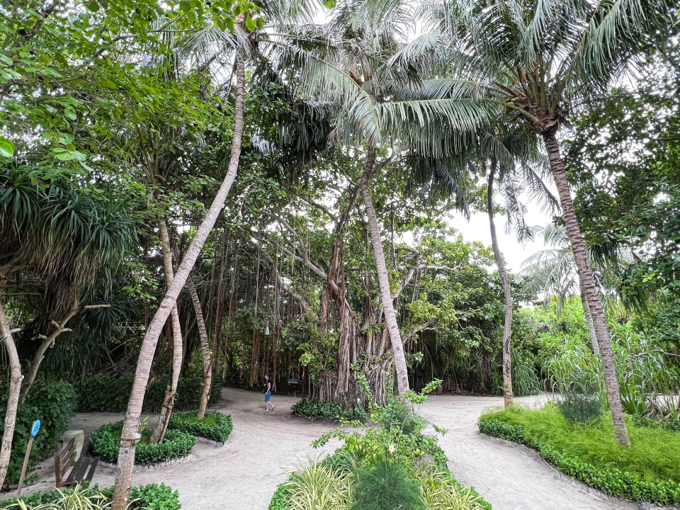 Gartenanlage Kuredu Island Resort & Spa