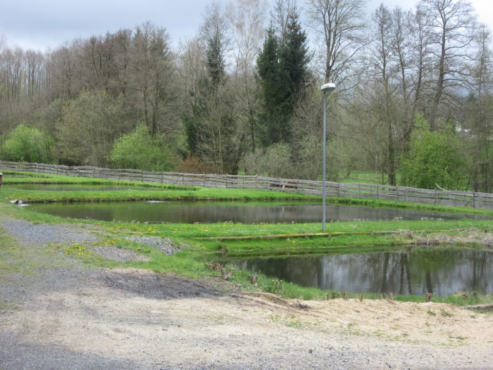 Sonstiges Landschloss Ernestgrün