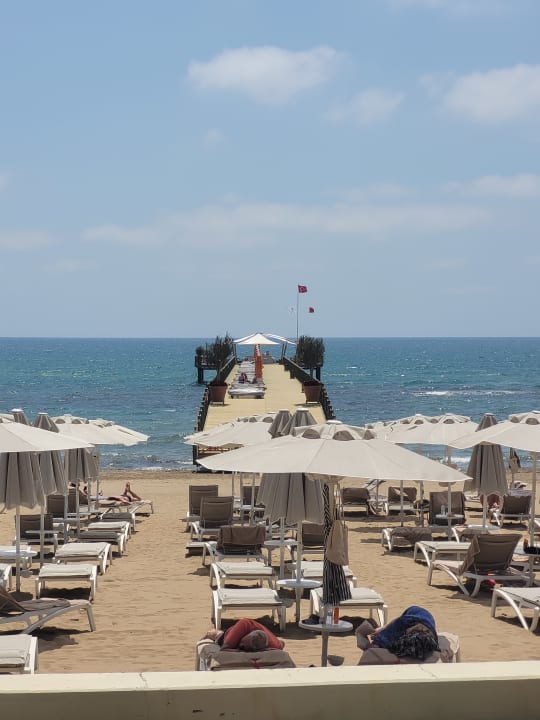 Strand Arum Barut Collection