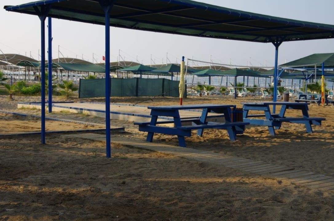 Boccia und Volleyball Paloma Oceana