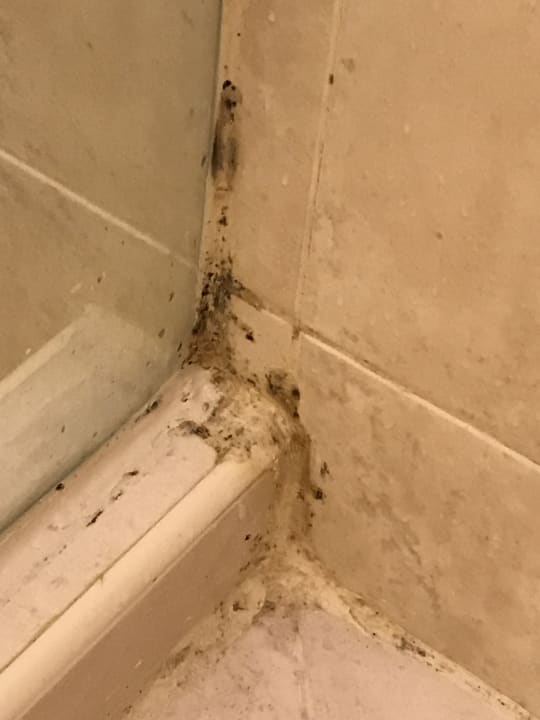 Zimmer Effect Grand Victoria Hotel