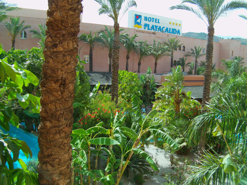 Es grünt und blüht alles Playacálida Hotel