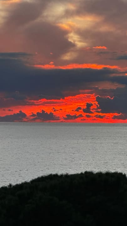 Ausblick Gardenia Hotel