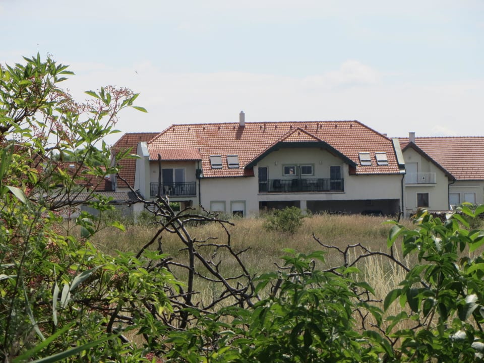 Blick vom Nationalpark zum Haus Gästehaus Urbarialhof
