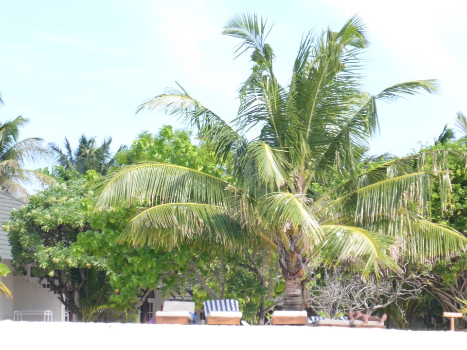 Strand Adaaran Select Meedhupparu Island Resort - Premium All Inclusive