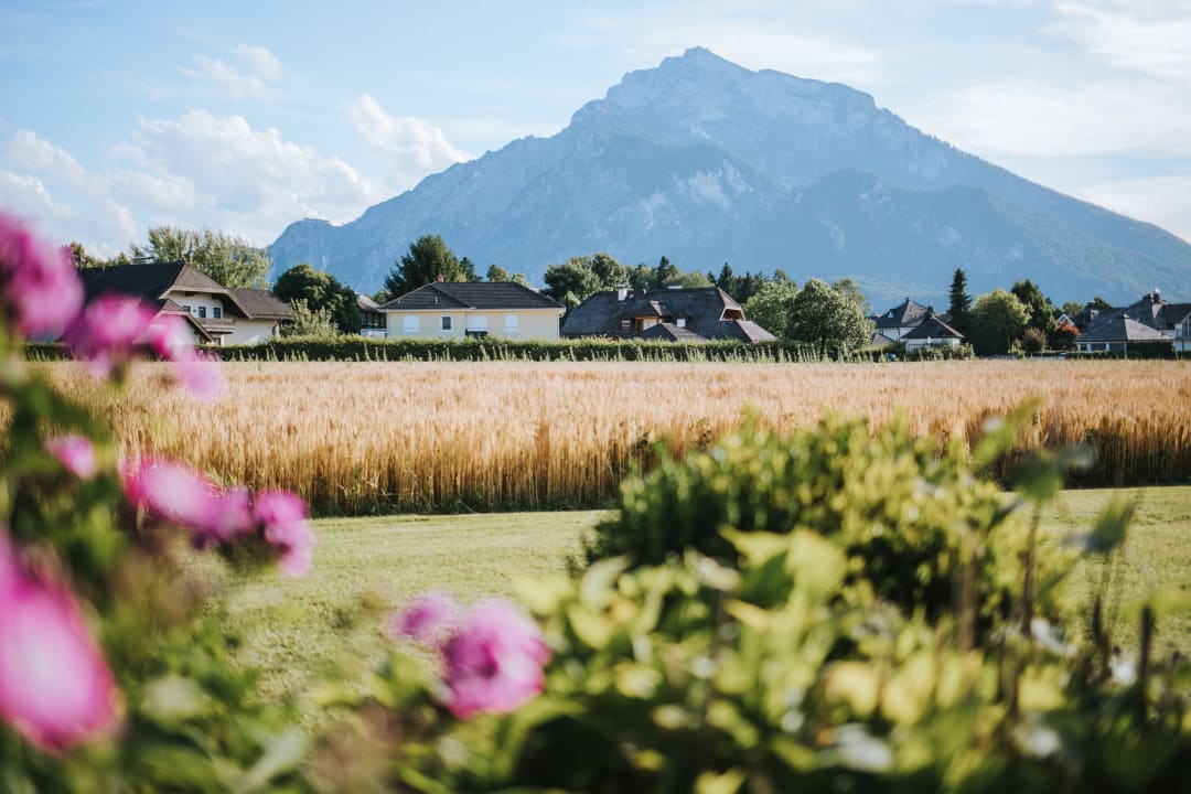 Ausblick Friesachers Aniferhof
