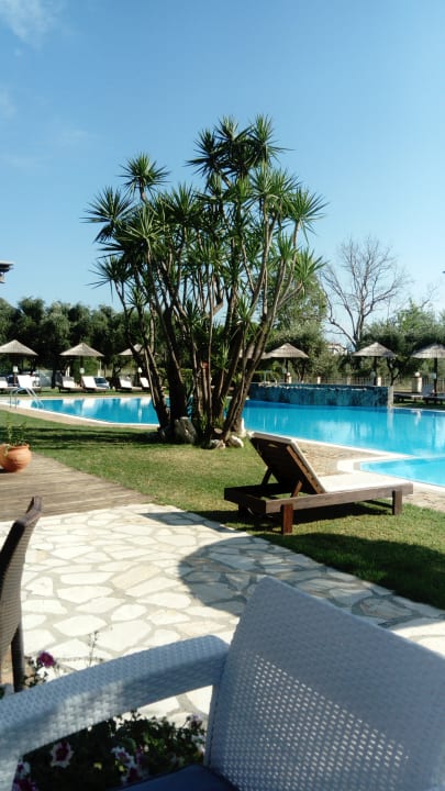 Pool Hotel Bostonia Village