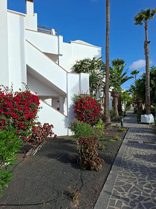 Außenansicht allsun App.-Hotel Albatros