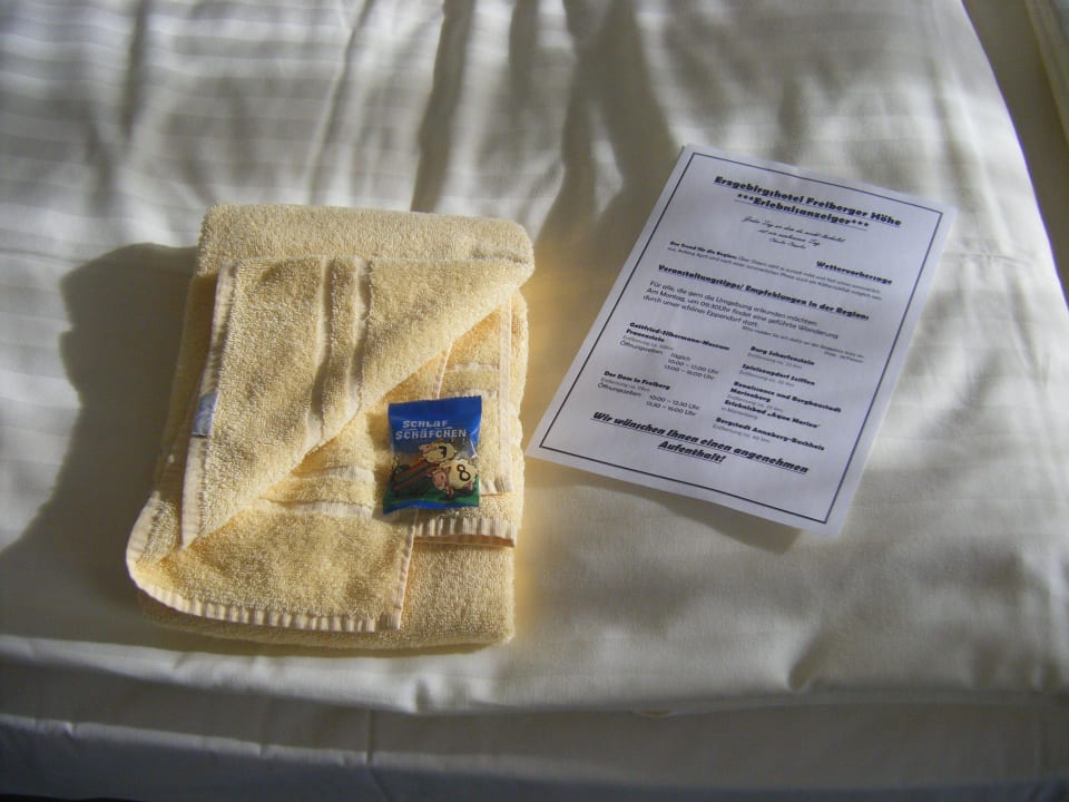 Info zur Begrüßung Erzgebirgshotel Freiberger Höhe