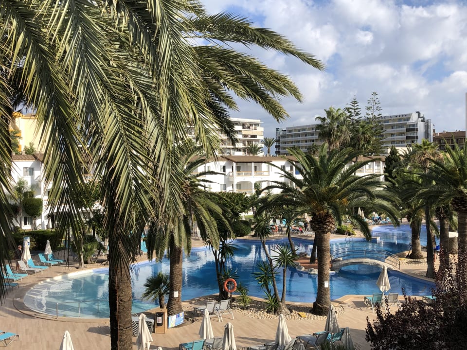 Pool Alcudia Garden Aparthotel