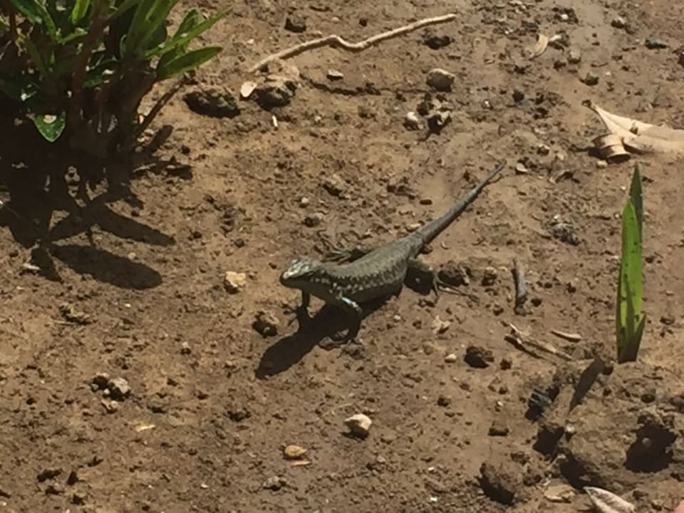 Sonstiges VONRESORT Golden Beach