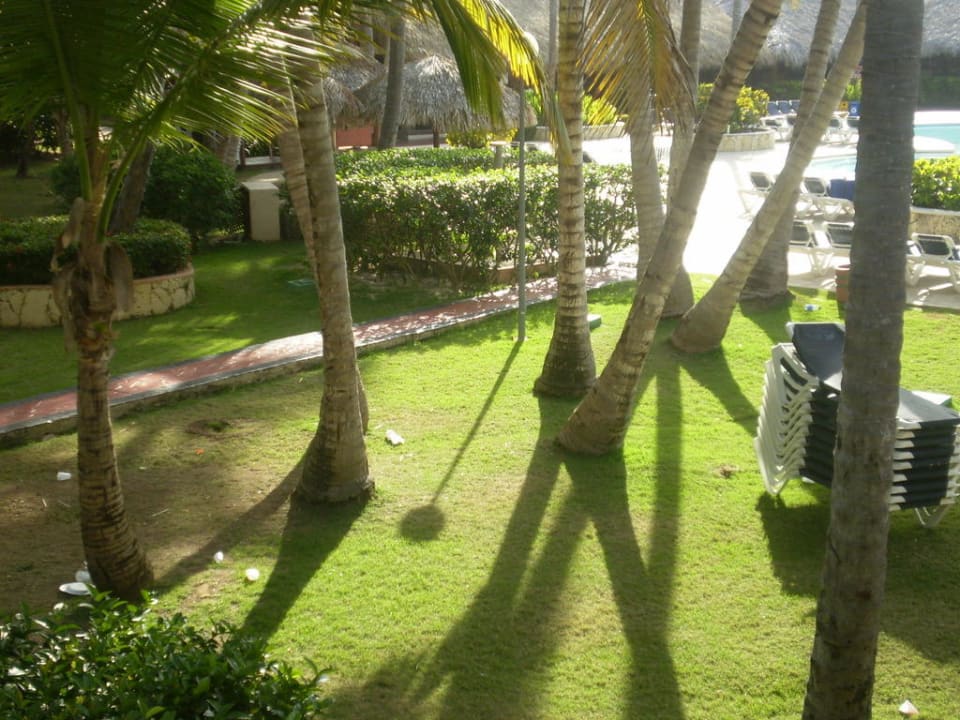 Verschmutzte Gartenlandschaft Hotel Grand Palladium Palace Resort, Spa & Casino