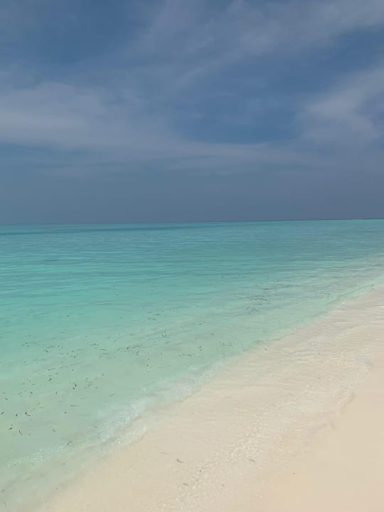 Strand Meeru Maldives Resort Island