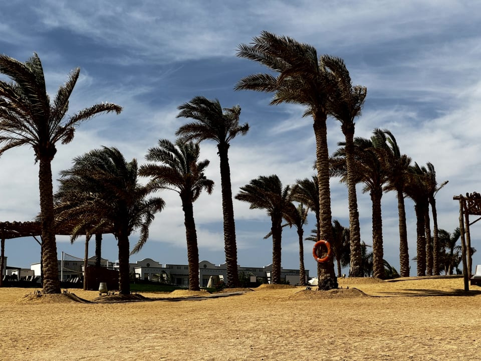Strand Steigenberger Resort Alaya Marsa Alam - Red Sea - Adults only