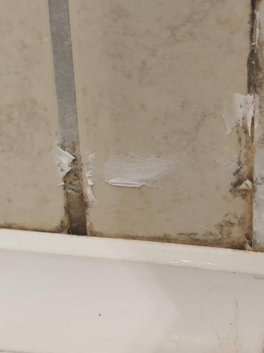 Zimmer Dg Hotels Rose Resort