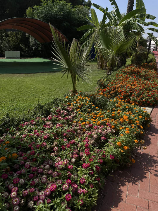 Gartenanlage Sunis Elita Beach Resort & Spa