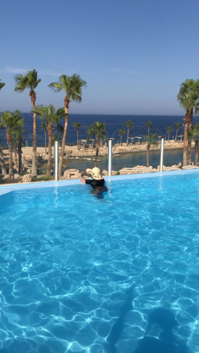 Pool Pickalbatros Citadel Resort