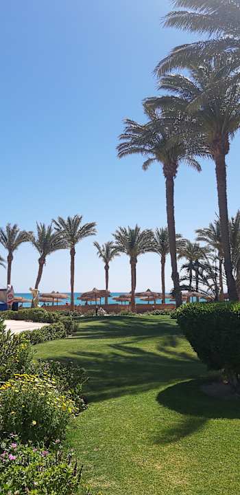 Gartenanlage Palm Royale Resort - Soma Bay