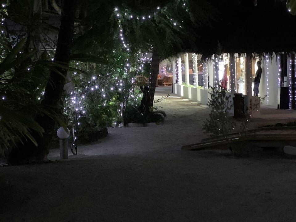 Gartenanlage Angaga Island Resort