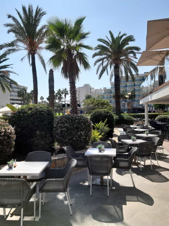 Gartenanlage allsun Hotel Bahia del Este