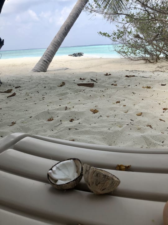 Ausblick Embudu Village