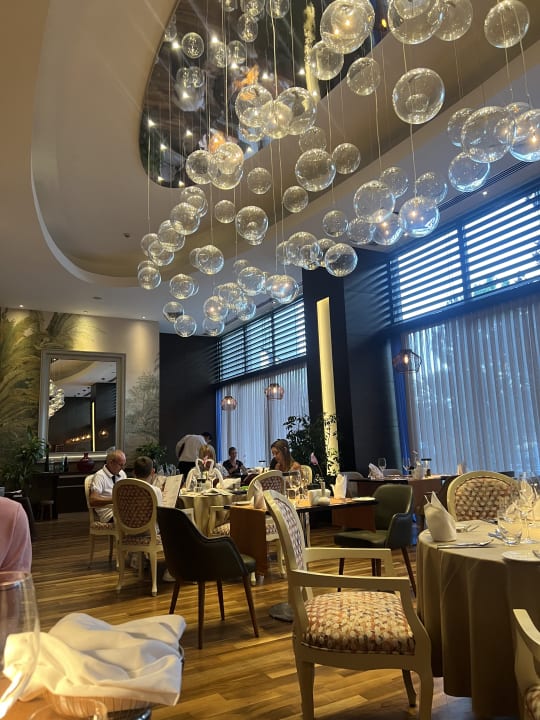 Gastro Arum Barut Collection