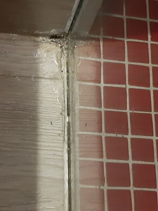 Zimmer MarSenses Rosa del Mar Hotel & Spa