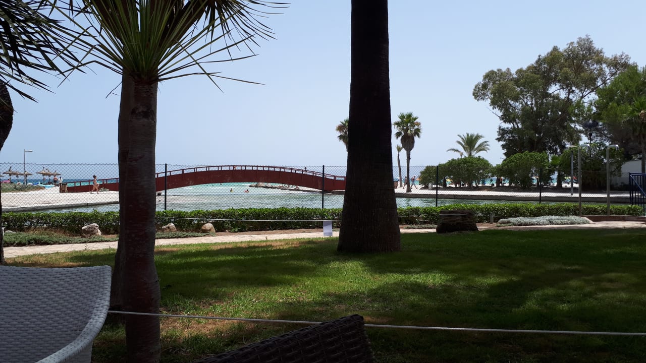 Gartenanlage allsun App.-Hotel Orquidea Playa