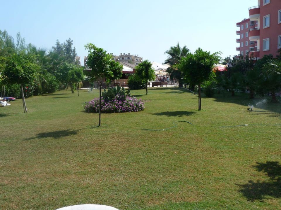 Gartenanlage Hotel Royal Garden Beach