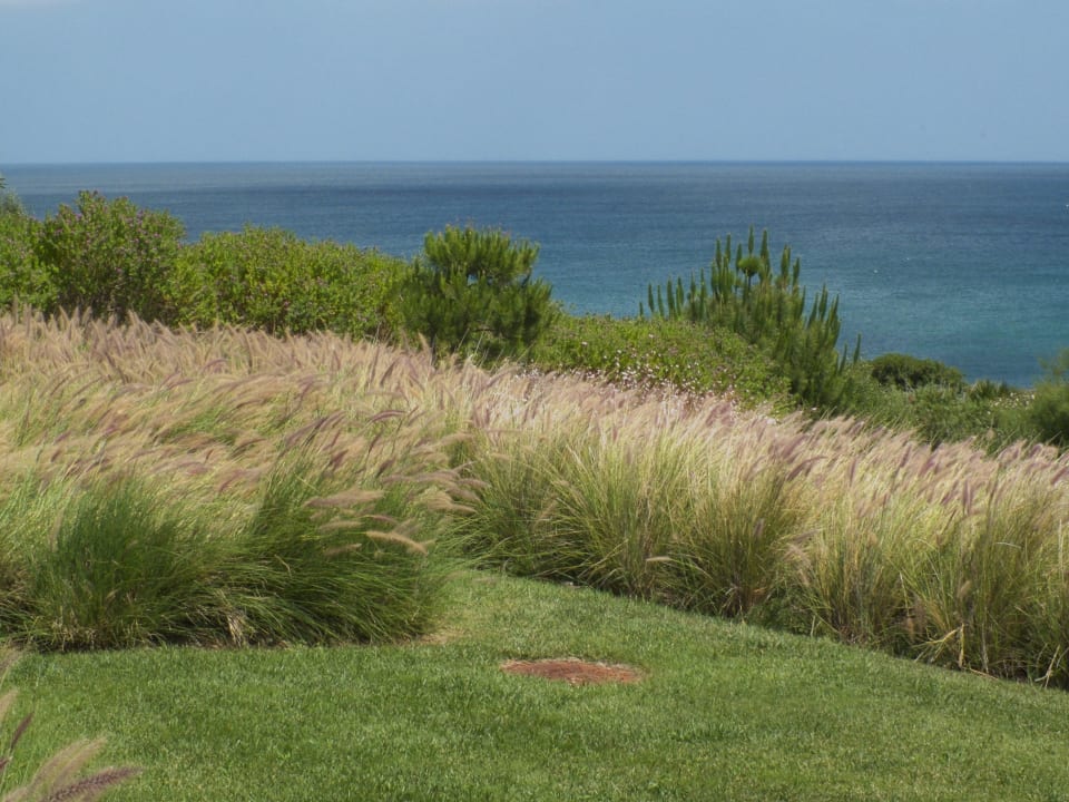 Zimmerausblick (120) Martinhal Sagres Beach Family Resort Hotel