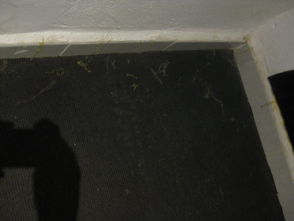 Teppich im Gang whala!beach