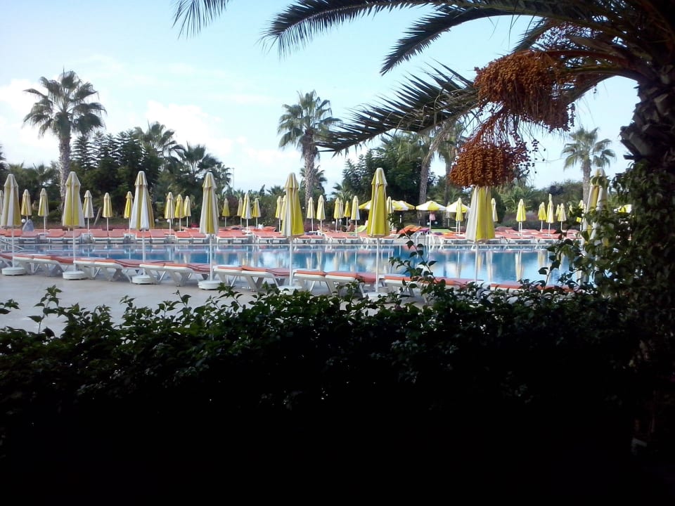 Morgentlicher Ausblick v. Frühstückstisch VONRESORT Golden Coast