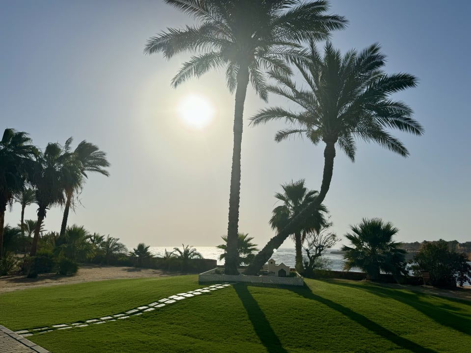 Gartenanlage Steigenberger Coraya Beach - Adults only