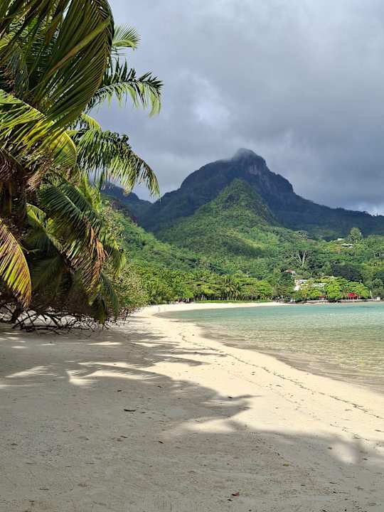Strand Constance Ephelia Seychelles