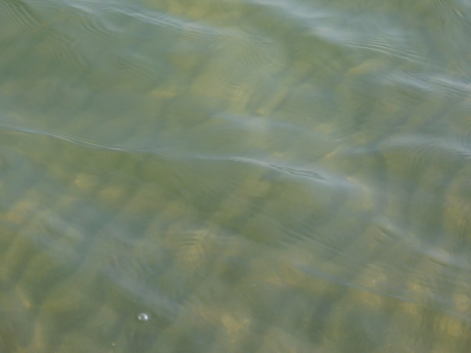 Strand Korumar Ephesus Beach & Spa Resort