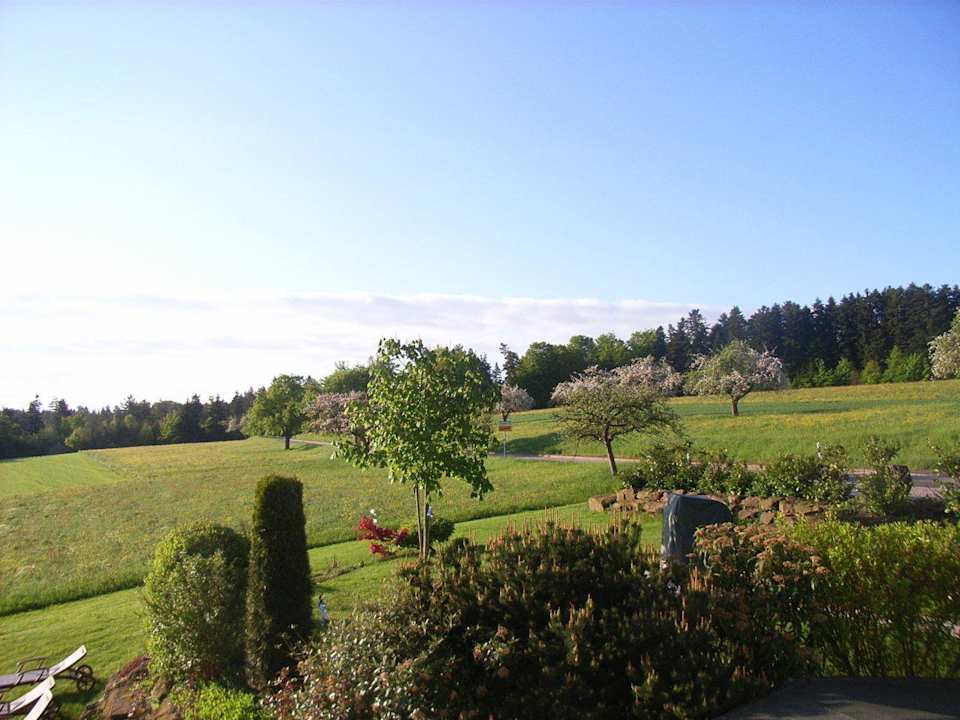 Ausblick vom Balkon Landhotel Talblick