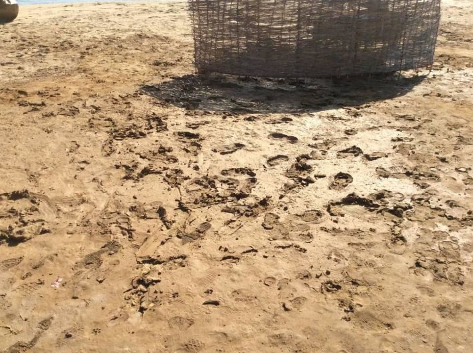 Hotelstrand Three Corners Equinox Beach Resort