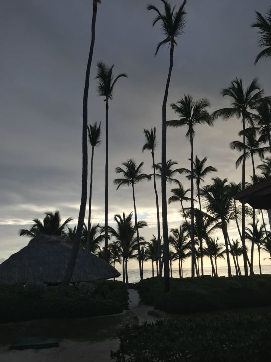 Garten Secrets Royal Beach Punta Cana - Adults only