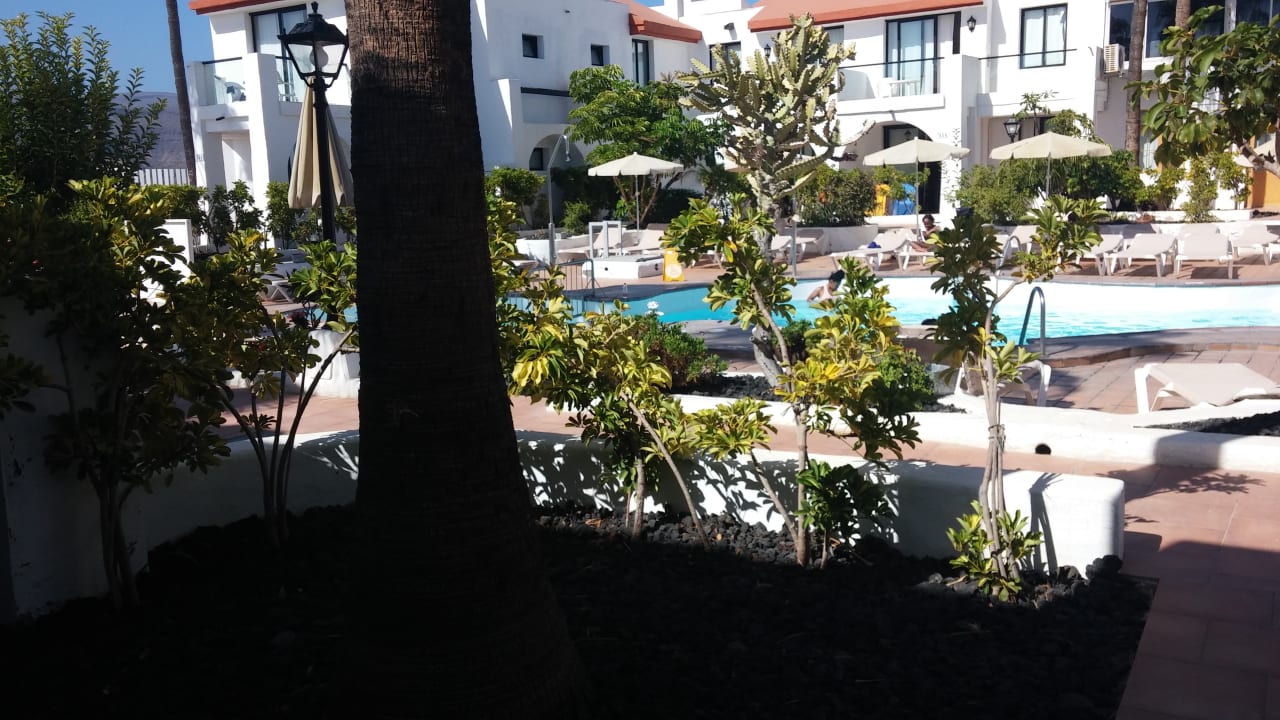 Pool Nido del Aguila Bungalows