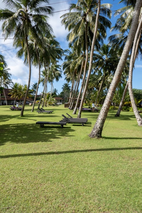 Gartenanlage Thaala Bentota